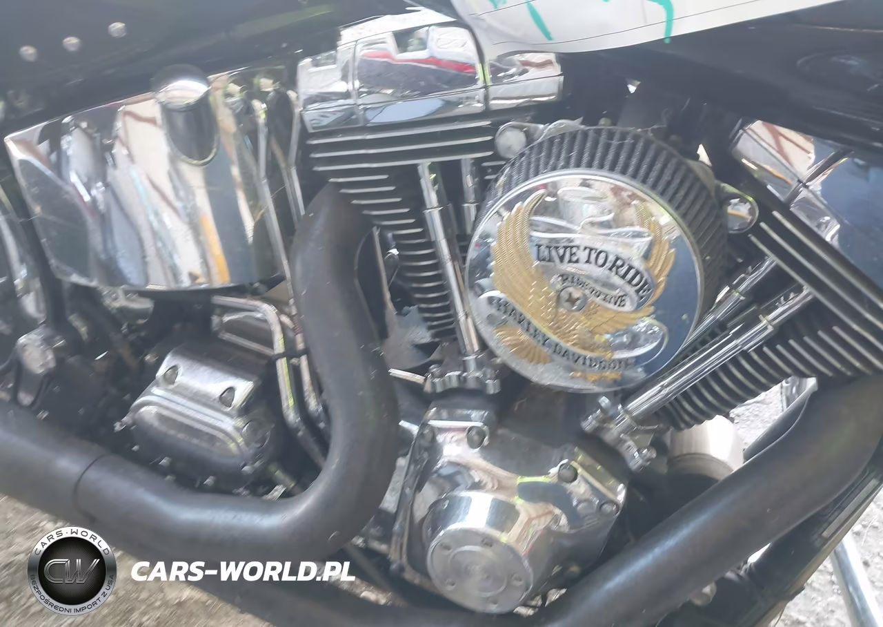 2001 Harley-Davidson Flstfi VIN:1HD1BXB161Y080516 - 8