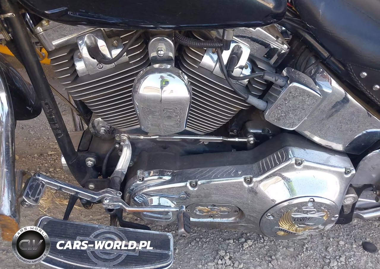 2001 Harley-Davidson Flstfi VIN:1HD1BXB161Y080516 - 9
