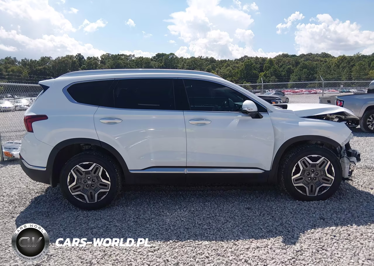 2022 Hyundai Santa Fe Limited VIN:5NMS44AL1NH377019 - 13