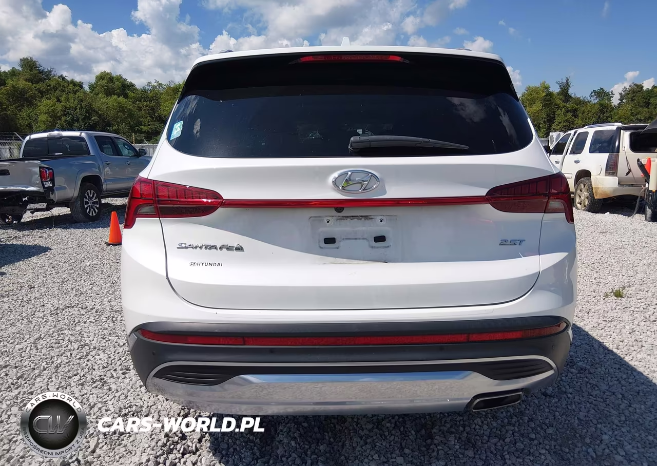 2022 Hyundai Santa Fe Limited VIN:5NMS44AL1NH377019 - 16