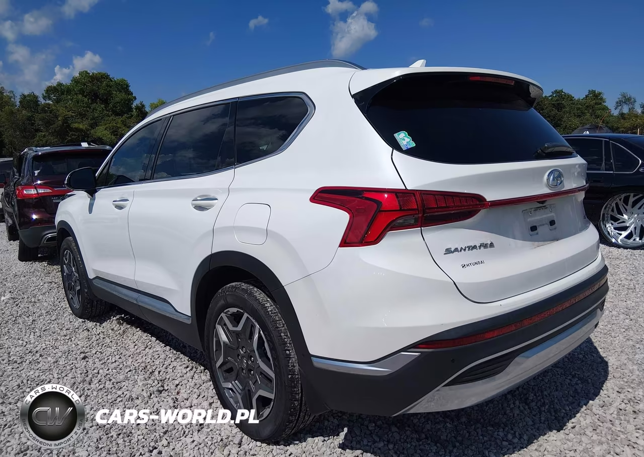 2022 Hyundai Santa Fe Limited VIN:5NMS44AL1NH377019 - 3