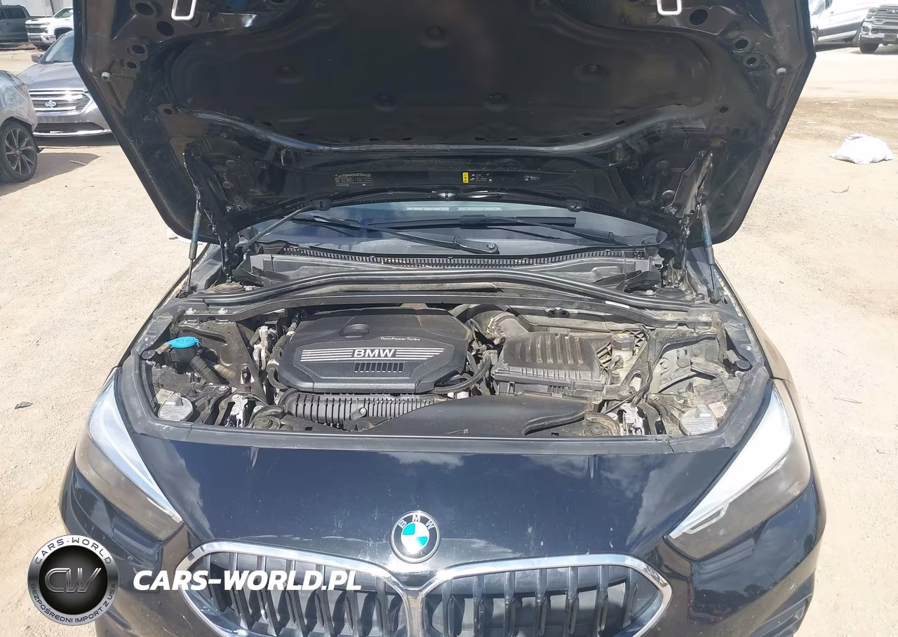 2021 BMW 228I Gran Coupe Sdrive VIN:WBA53AK06M7J25997 - 10