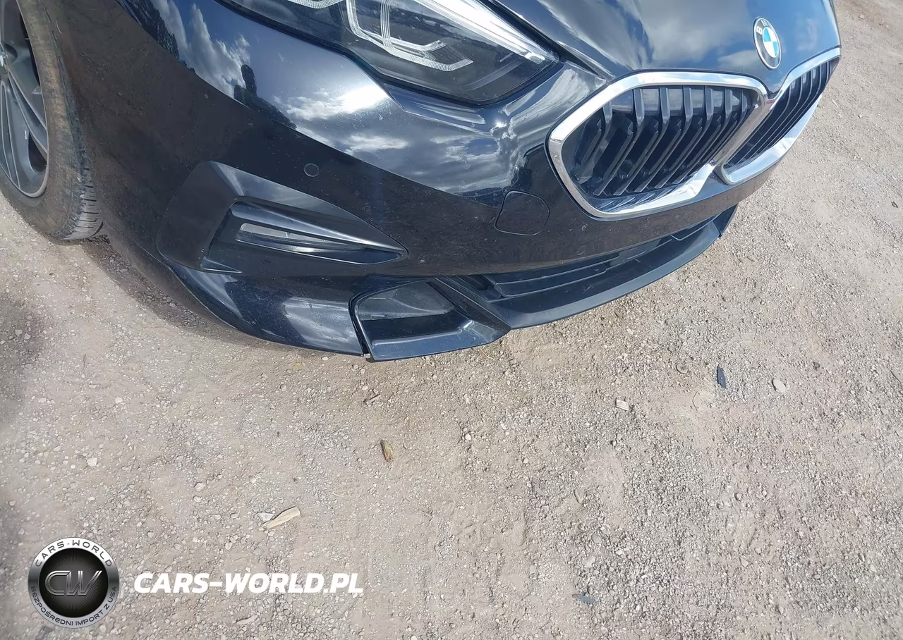 2021 BMW 228I Gran Coupe Sdrive VIN:WBA53AK06M7J25997 - 17
