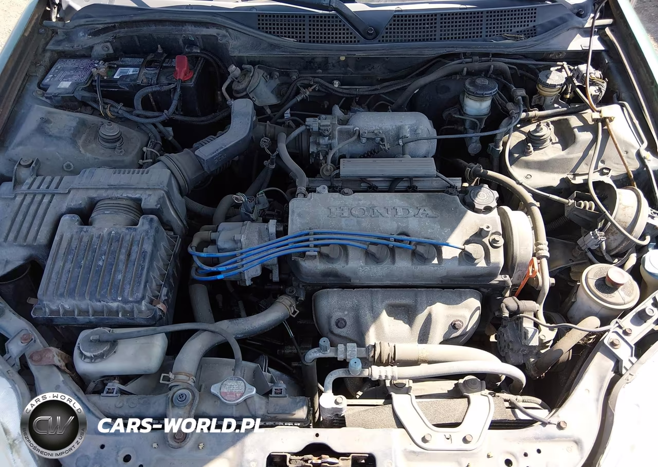 1996 Honda Civic Ex VIN:1HGEJ8140TL084263 - 6