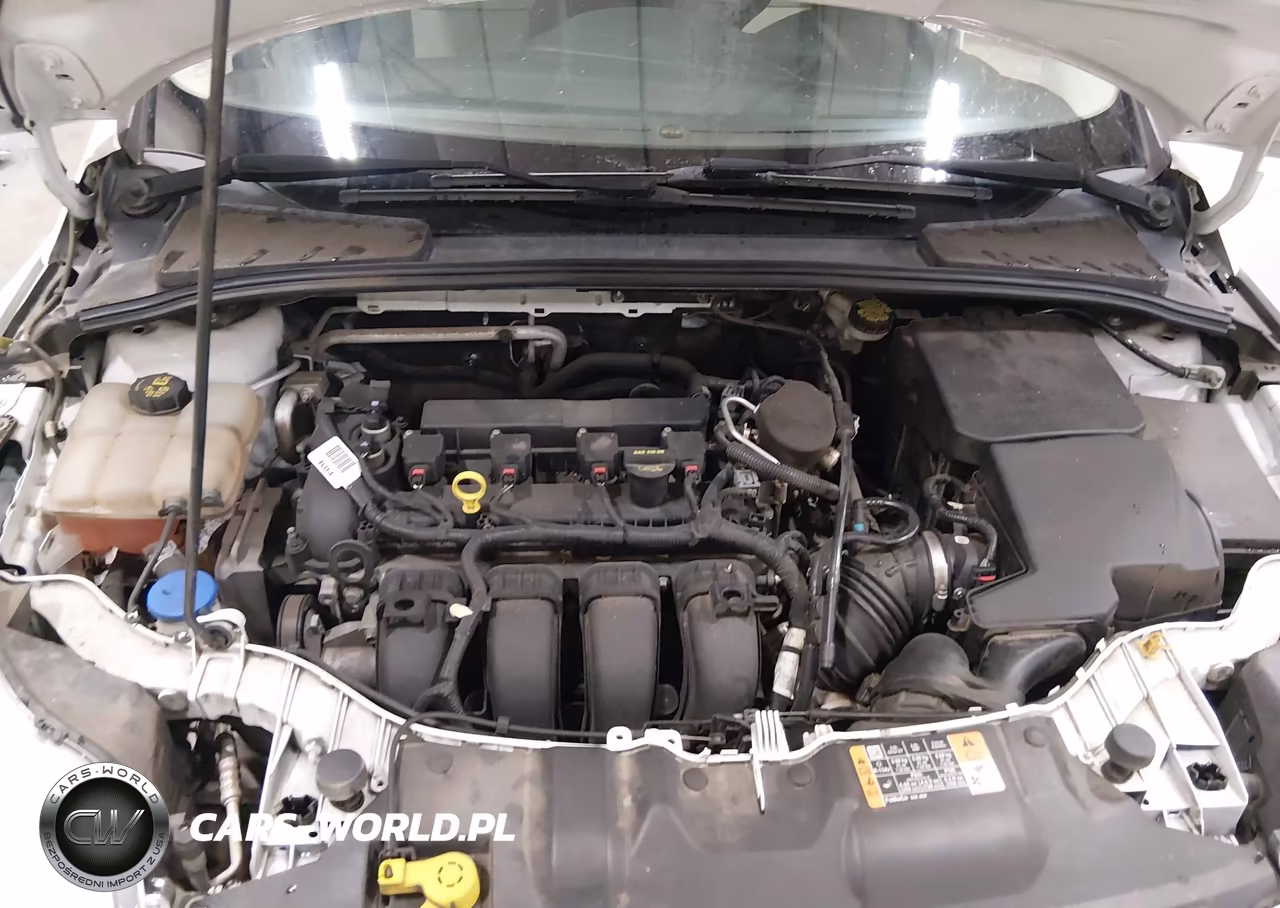 2014 Ford Focus Se VIN:1FADP3F25EL376535 - 10