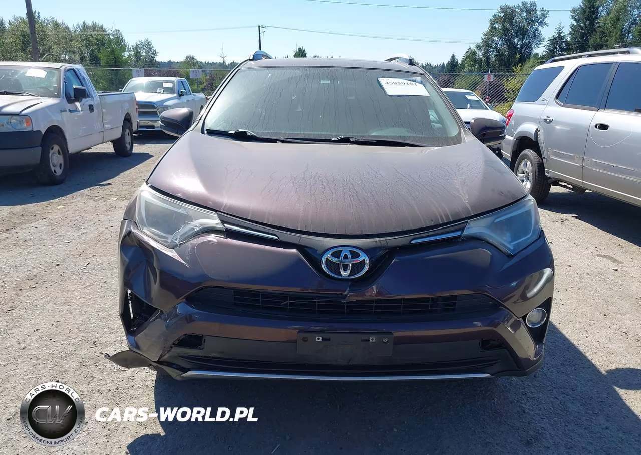 2016 Toyota Rav4 Xle VIN:2T3RFREV0GW465382 - 13