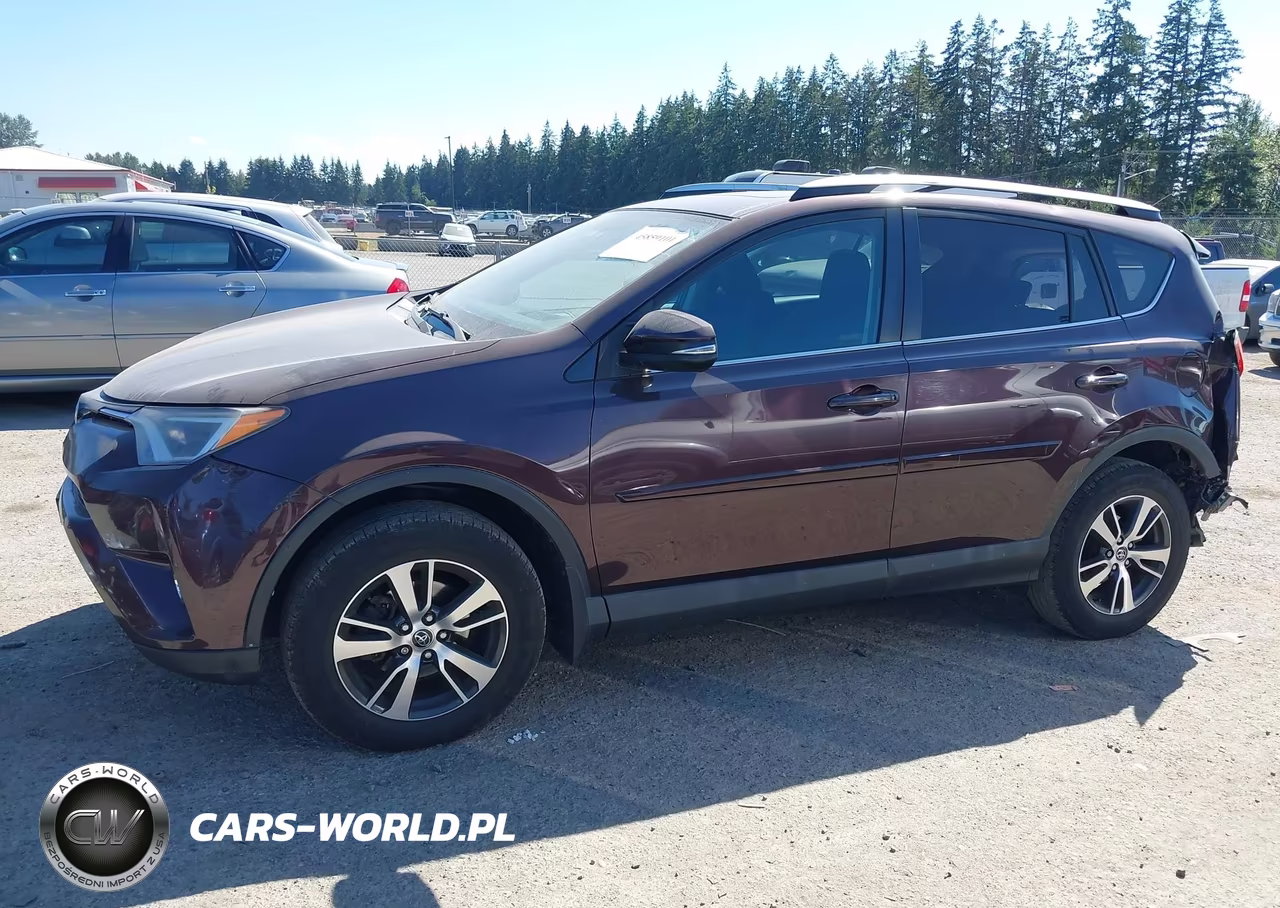 2016 Toyota Rav4 Xle VIN:2T3RFREV0GW465382 - 15