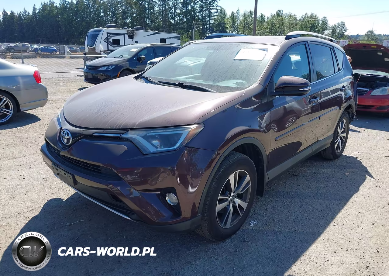 2016 Toyota Rav4 Xle VIN:2T3RFREV0GW465382 - 2