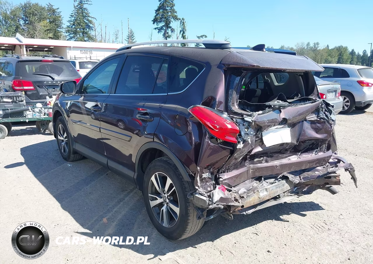 2016 Toyota Rav4 Xle VIN:2T3RFREV0GW465382 - 3