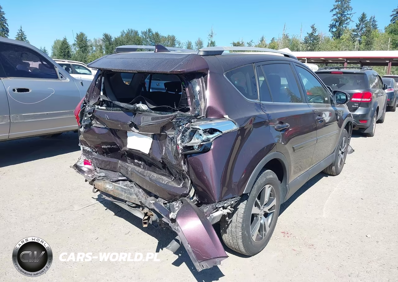 2016 Toyota Rav4 Xle VIN:2T3RFREV0GW465382 - 4