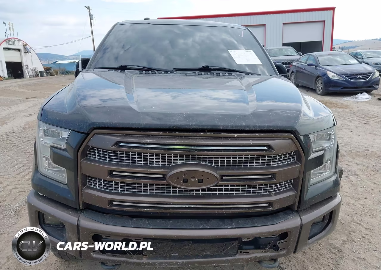 2015 Ford F-150 King Ranch VIN:1FTEW1EF8FFB07780 - 12