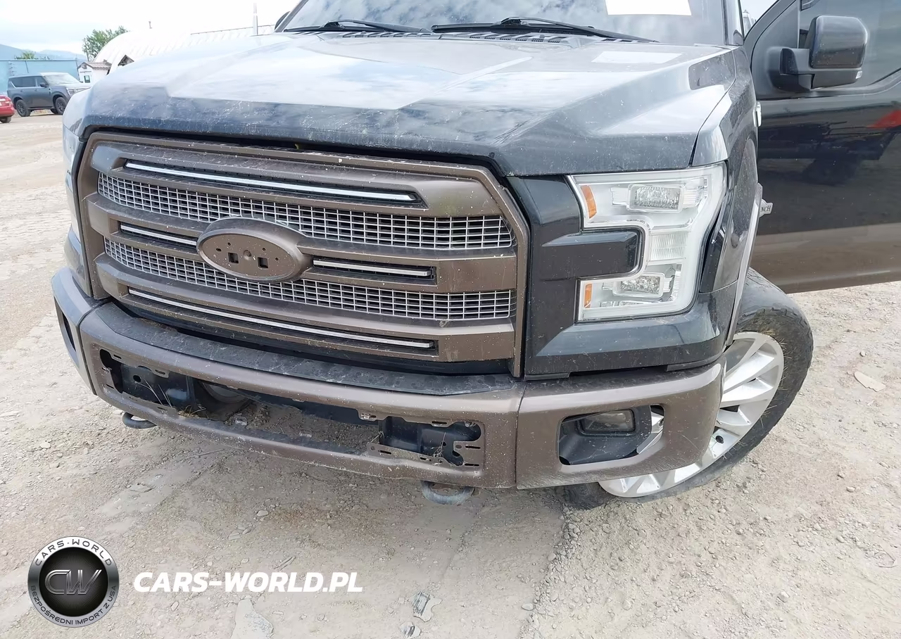 2015 Ford F-150 King Ranch VIN:1FTEW1EF8FFB07780 - 17