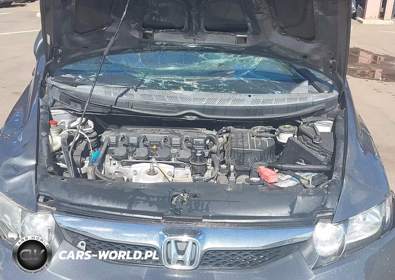 2009 Honda Civic Lx VIN:19XFA16569E023917 - 10