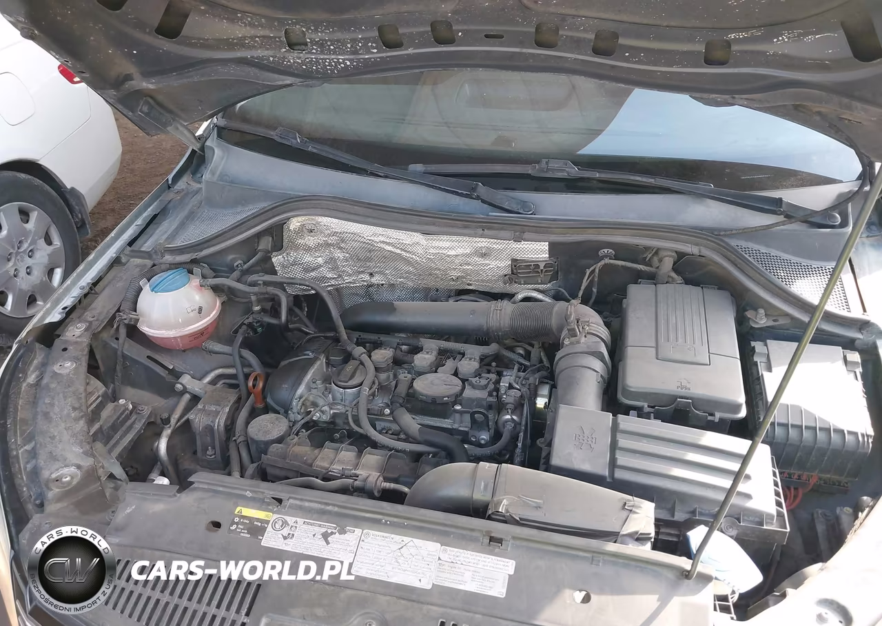 2013 Volkswagen Tiguan S VIN:WVGBV3AX0DW591713 - 10