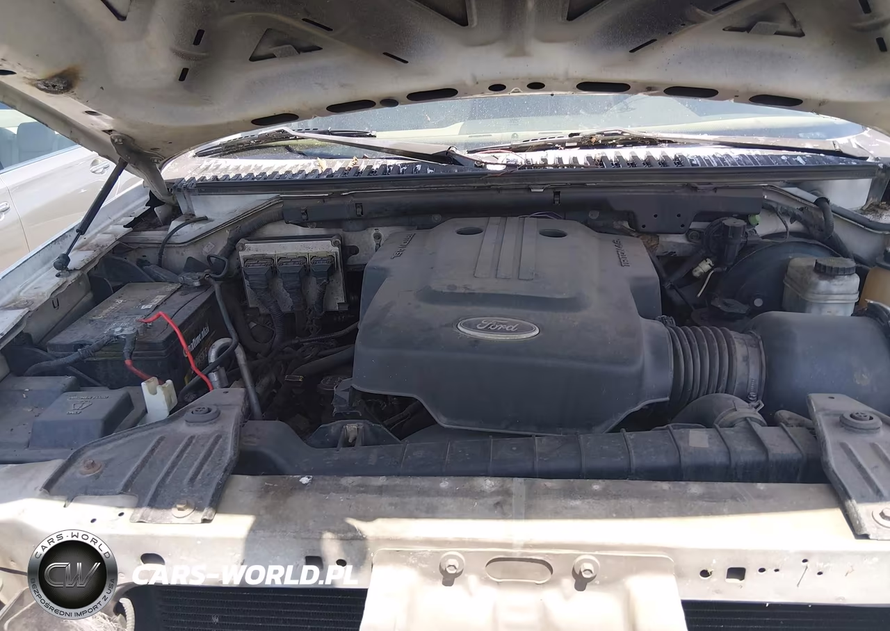 2003 Ford Expedition Xlt VIN:1FMRU15W13LC07994 - 10