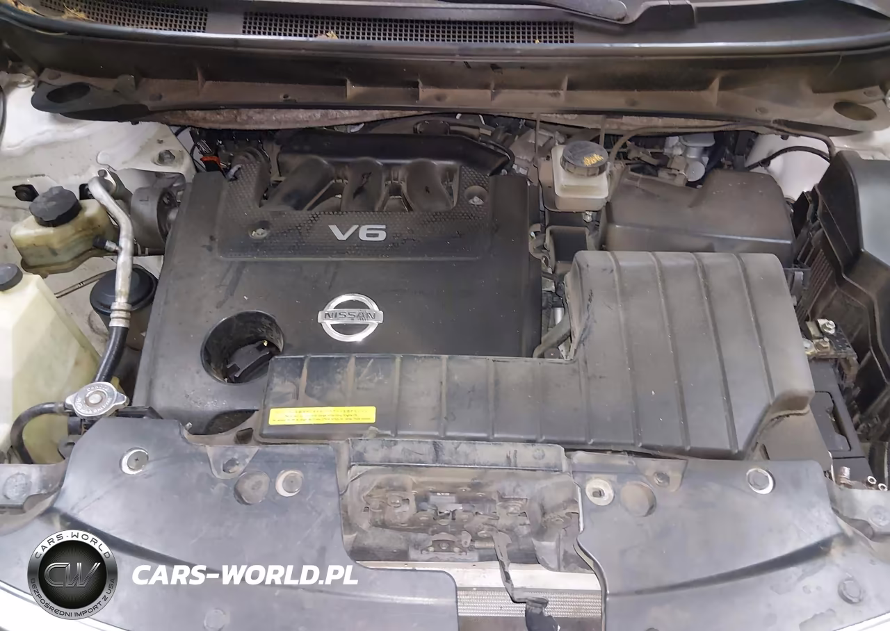 2011 Nissan Murano Le VIN:JN8AZ1MU2BW055602 - 10