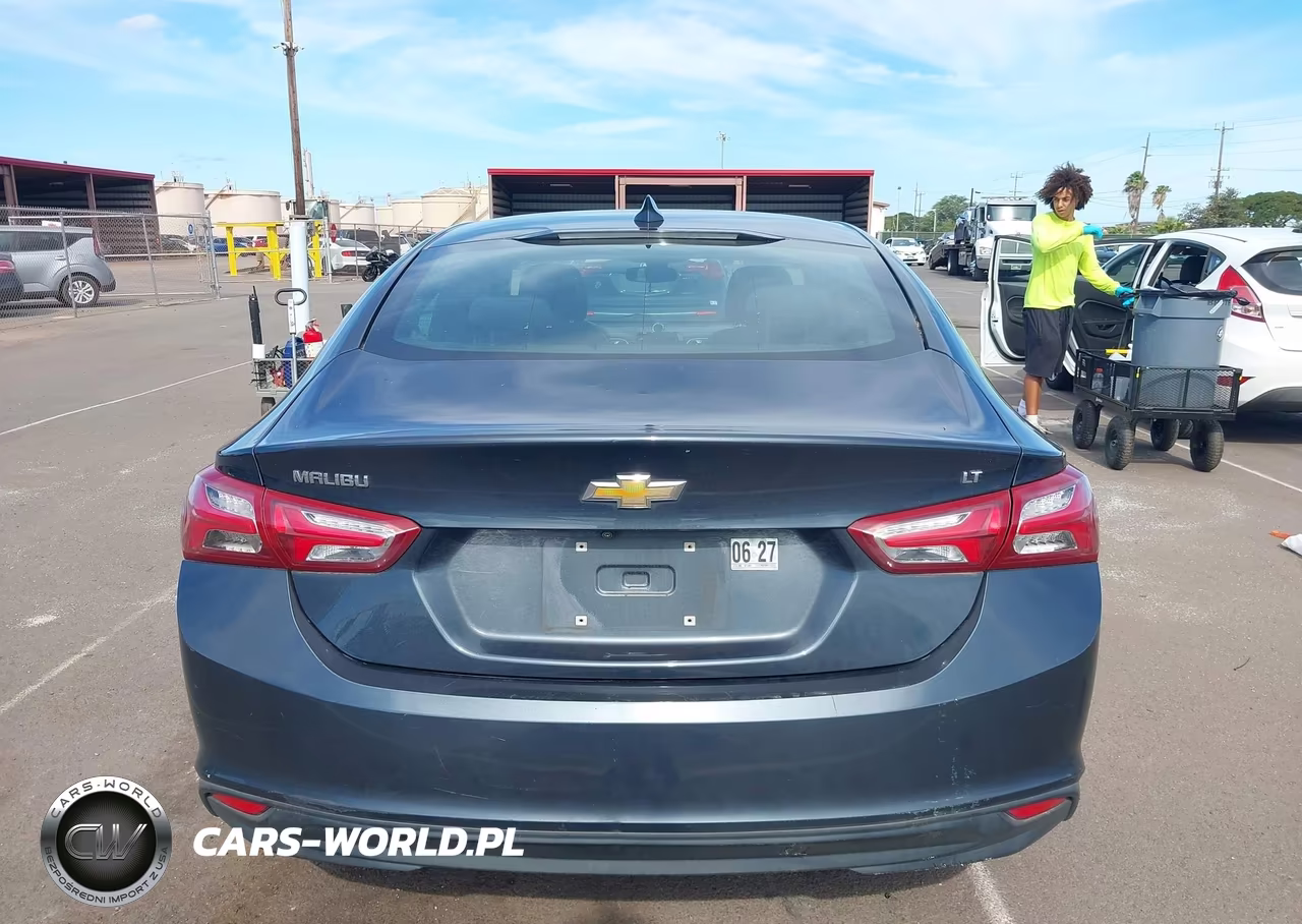 2019 Chevrolet Malibu Lt VIN:1G1ZD5ST8KF120217 - 17