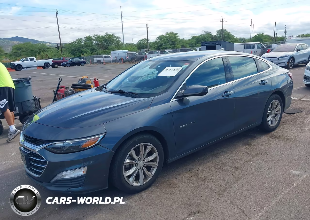 2019 Chevrolet Malibu Lt VIN:1G1ZD5ST8KF120217 - 2