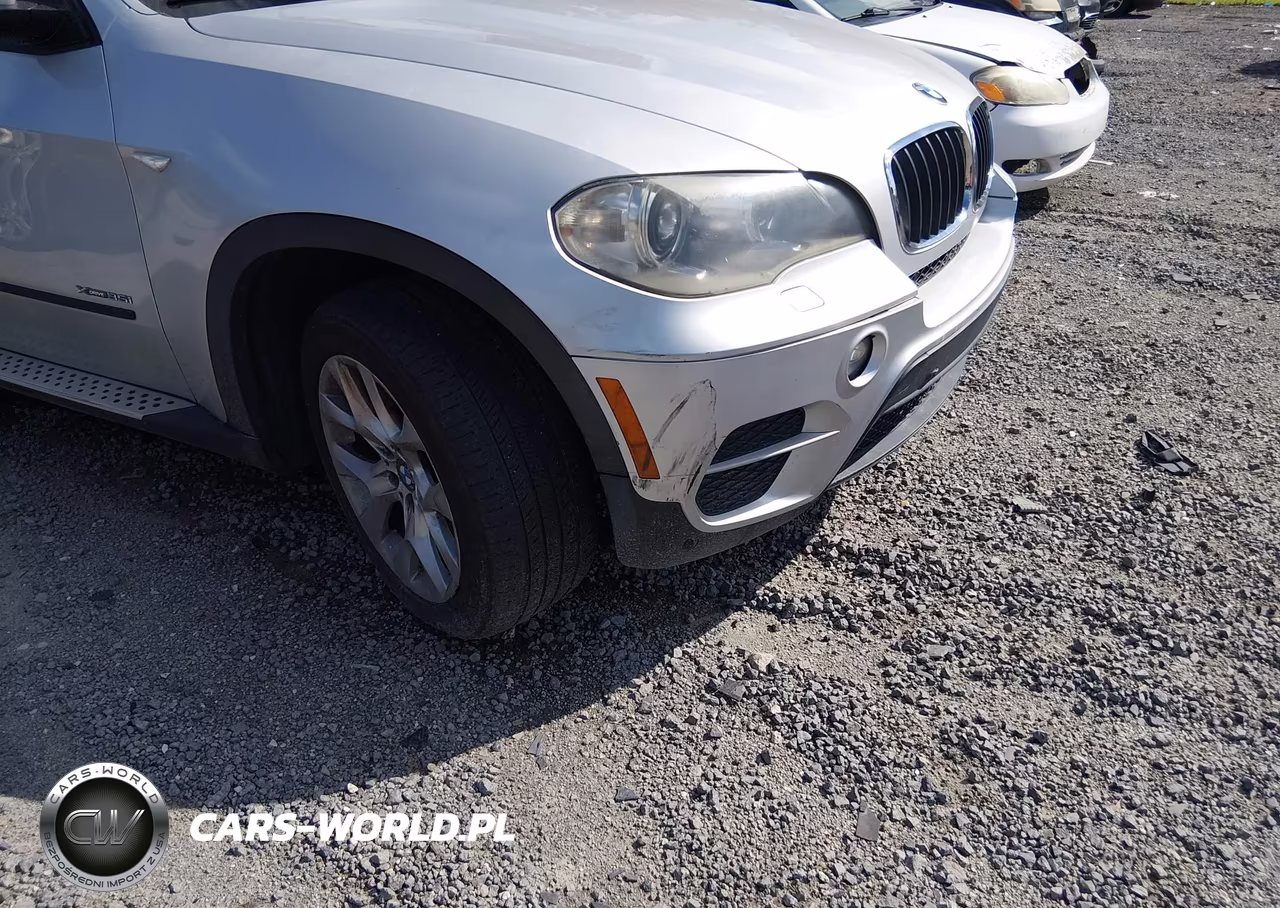 2012 BMW X5 xDrive35I-xDrive35I Premium-xDrive35I Sport Activity VIN:5UXZV4C5XCL764169 - 12