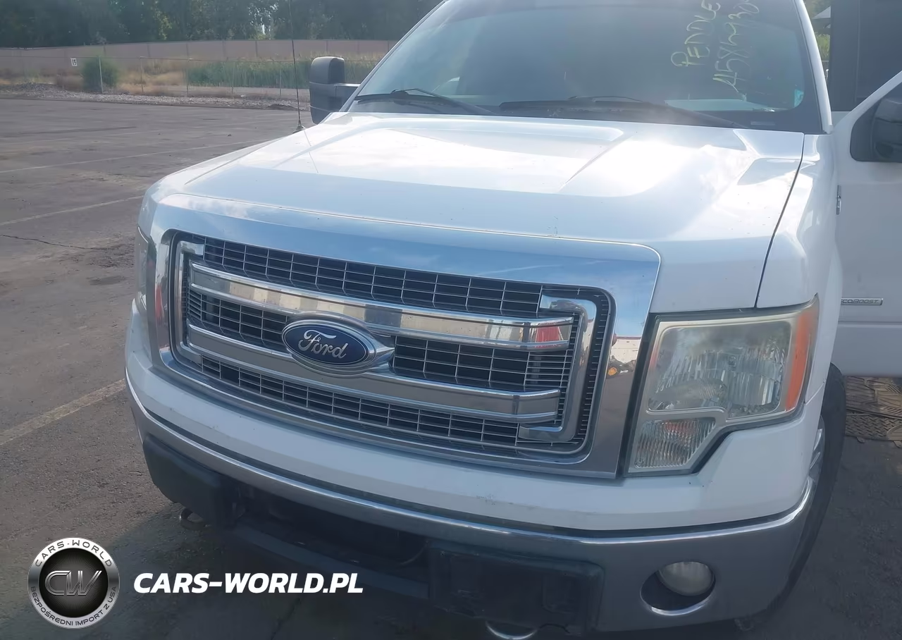 2013 Ford F-150 Xlt VIN:1FTFW1ET3DKF68495 - 6