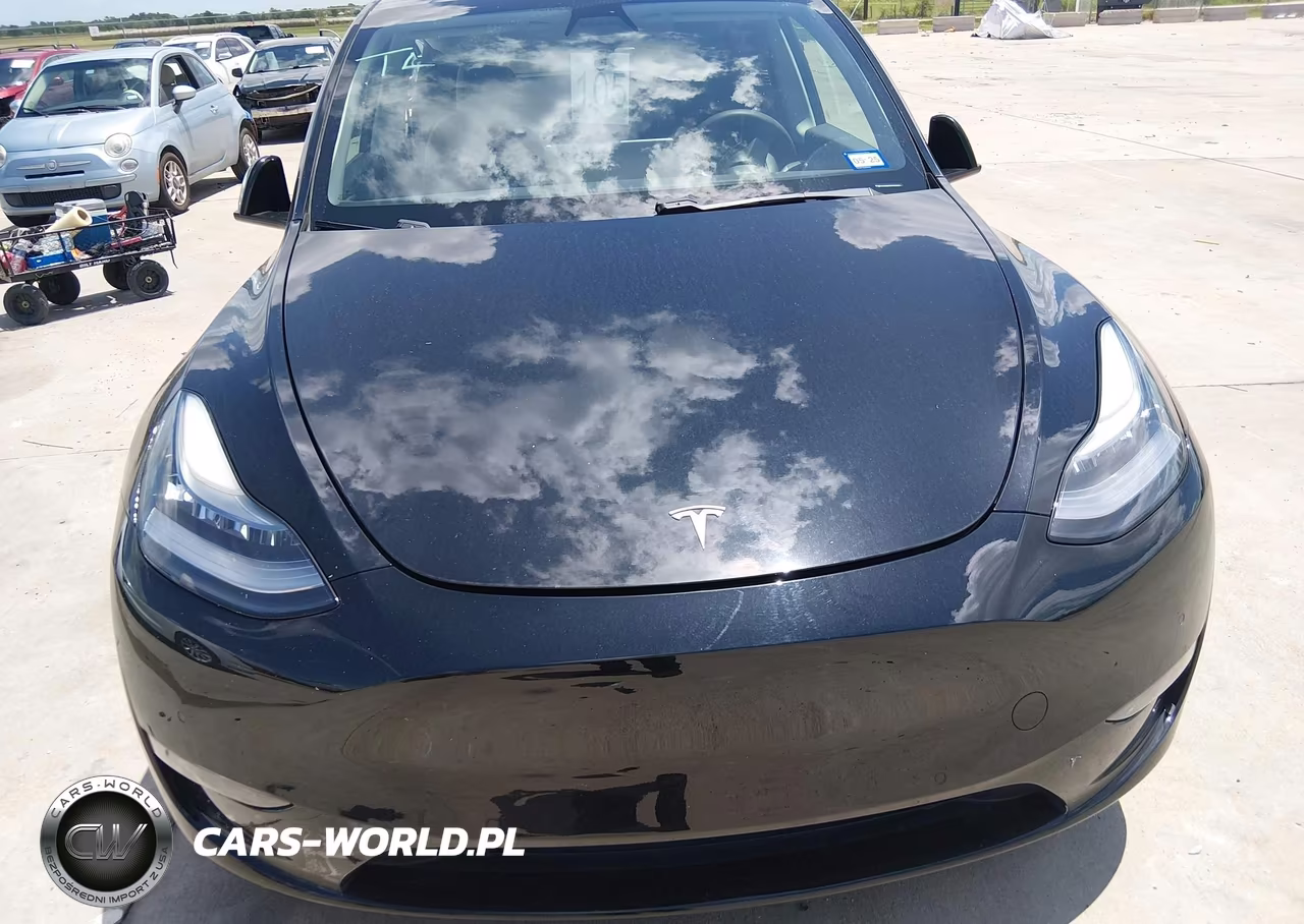 2021 Tesla Model Y Performance Dual Motor All-Wheel Drive VIN:5YJYGDEF3MF083983 - 12