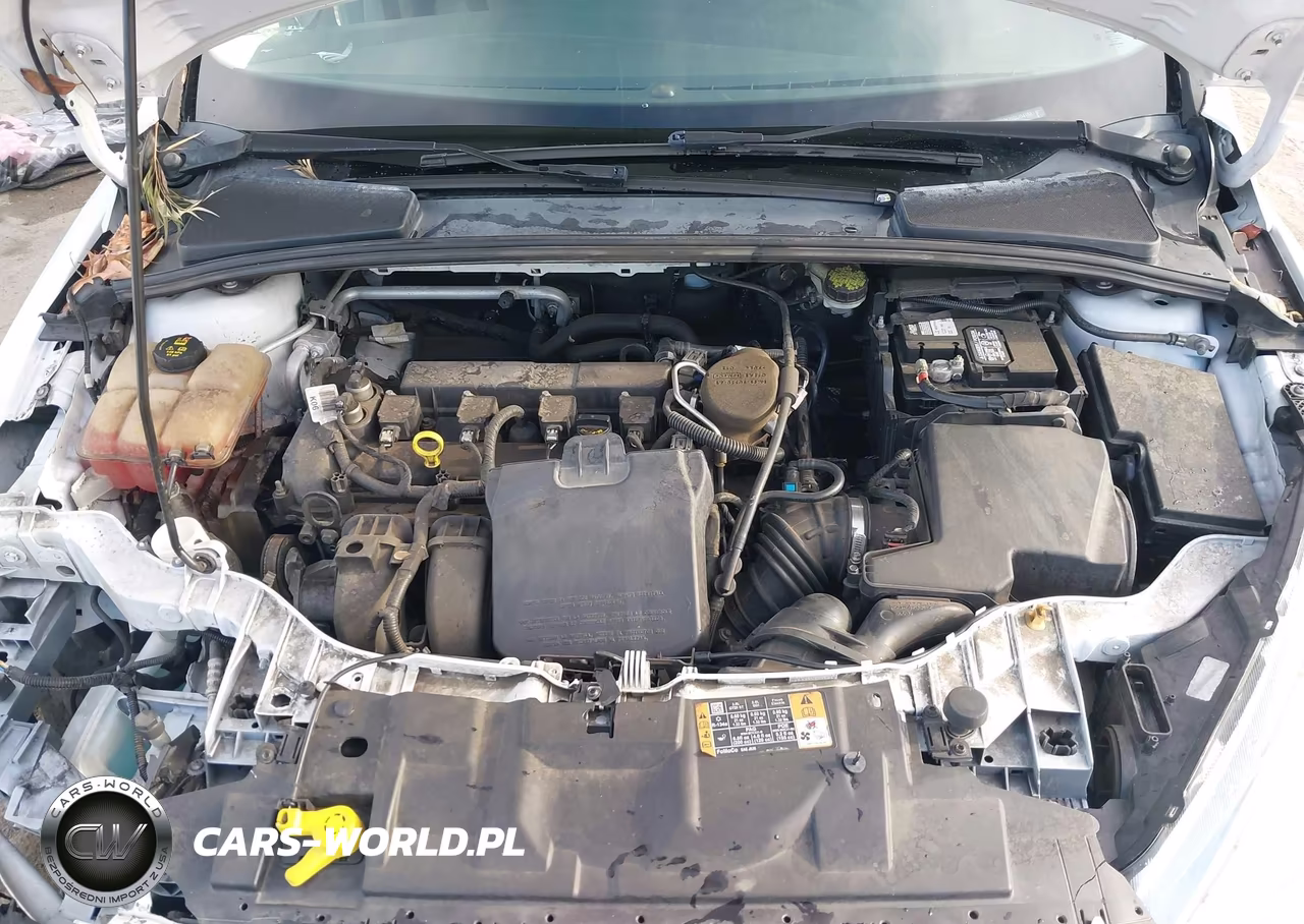 2016 Ford Focus Se VIN:1FADP3K25GL254184 - 10