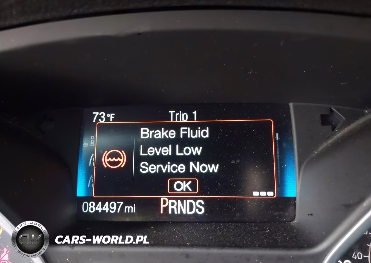 2016 Ford Focus Se VIN:1FADP3K25GL254184 - 16