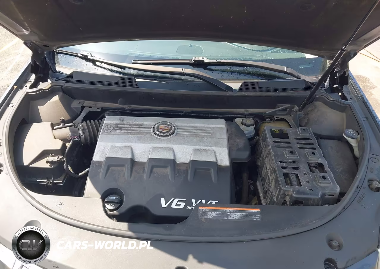 2010 Cadillac Srx Performance Collection VIN:3GYFNBEY1AS585696 - 10
