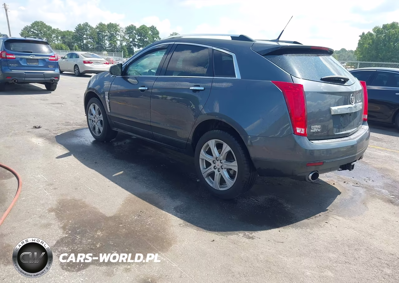 2010 Cadillac Srx Performance Collection VIN:3GYFNBEY1AS585696 - 3