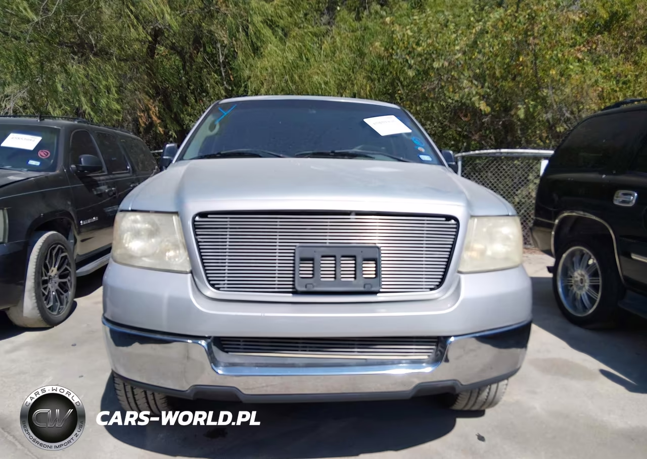 2004 Ford F-150 Stx-Xl-Xlt VIN:1FTRF12W14NA52579 - 12