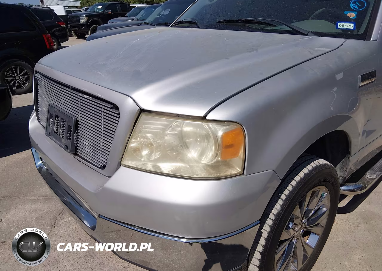 2004 Ford F-150 Stx-Xl-Xlt VIN:1FTRF12W14NA52579 - 6