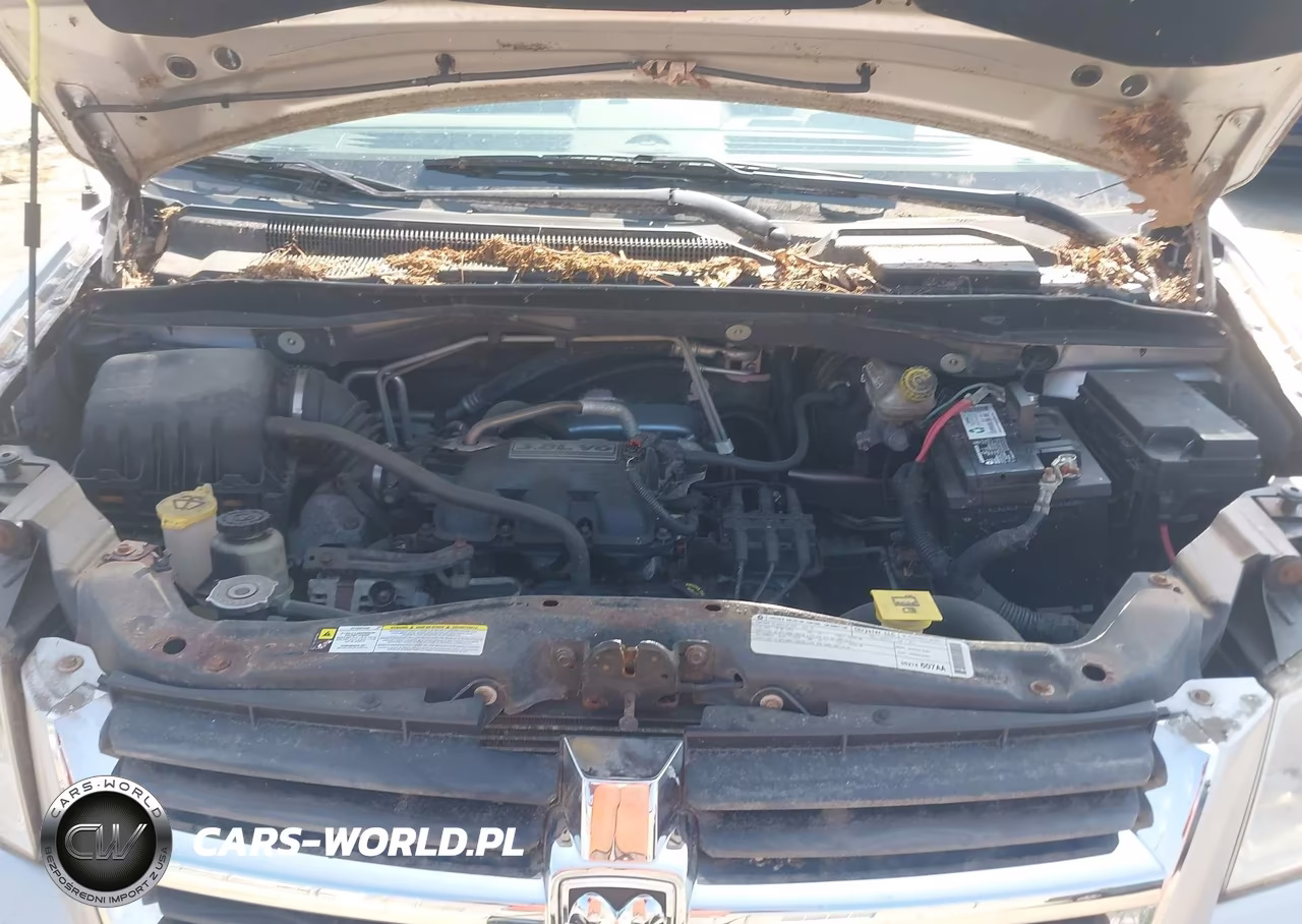 2009 Dodge Grand Caravan Sxt VIN:2D8HN54199R564559 - 10