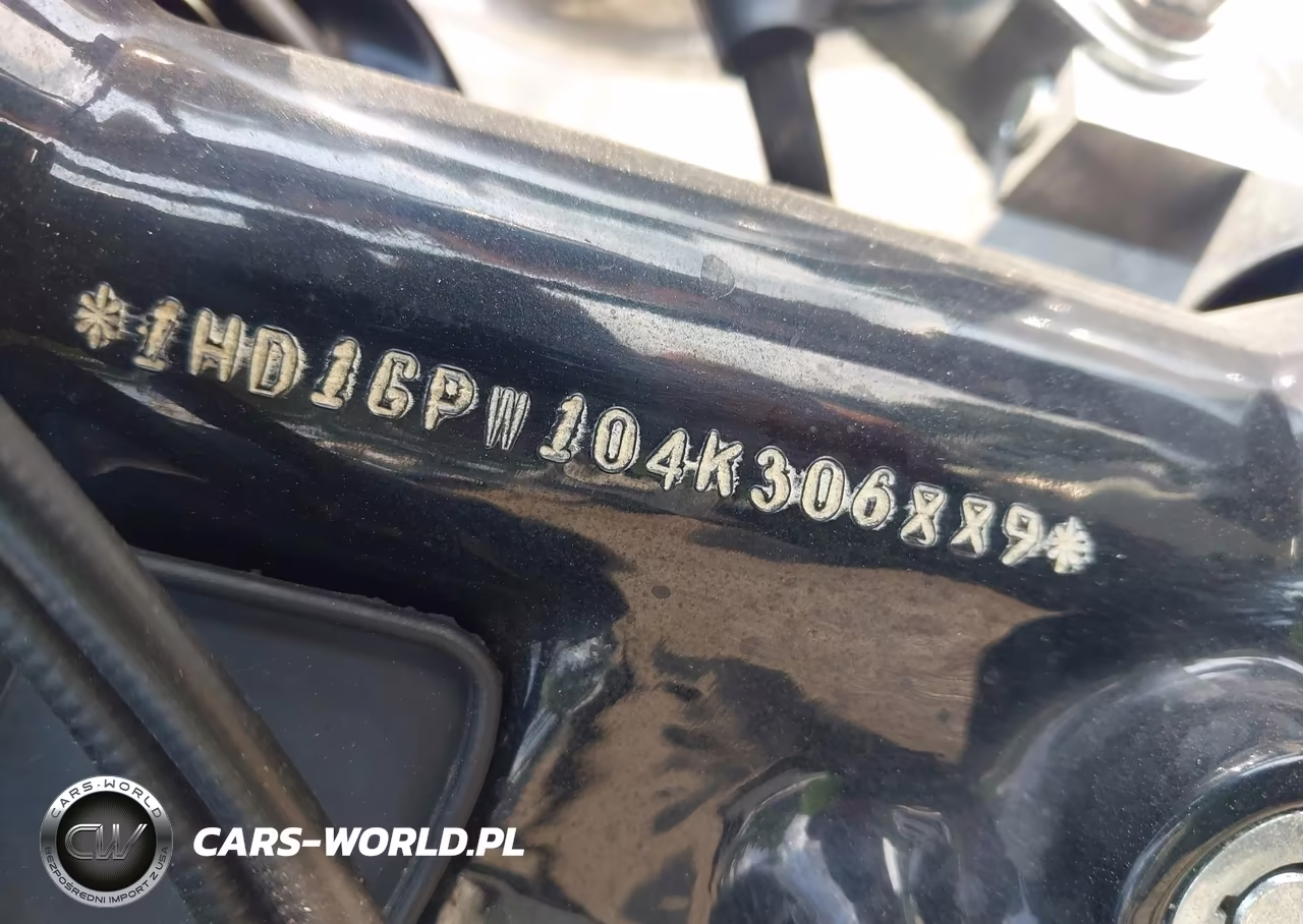 2004 Harley-Davidson Fxdwgi VIN:1HD1GPW104K306889 - 10