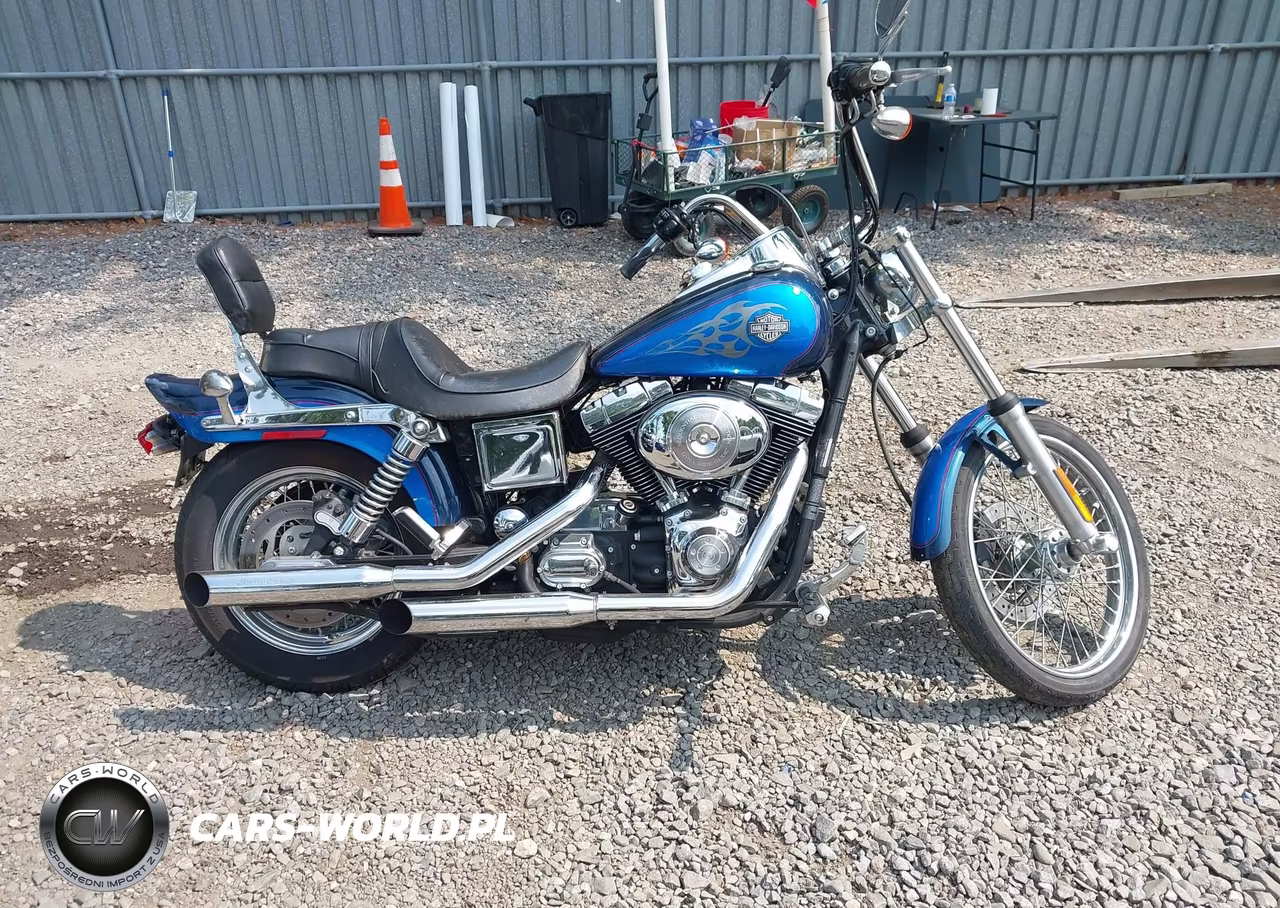 2004 Harley-Davidson Fxdwgi VIN:1HD1GPW104K306889 - 12