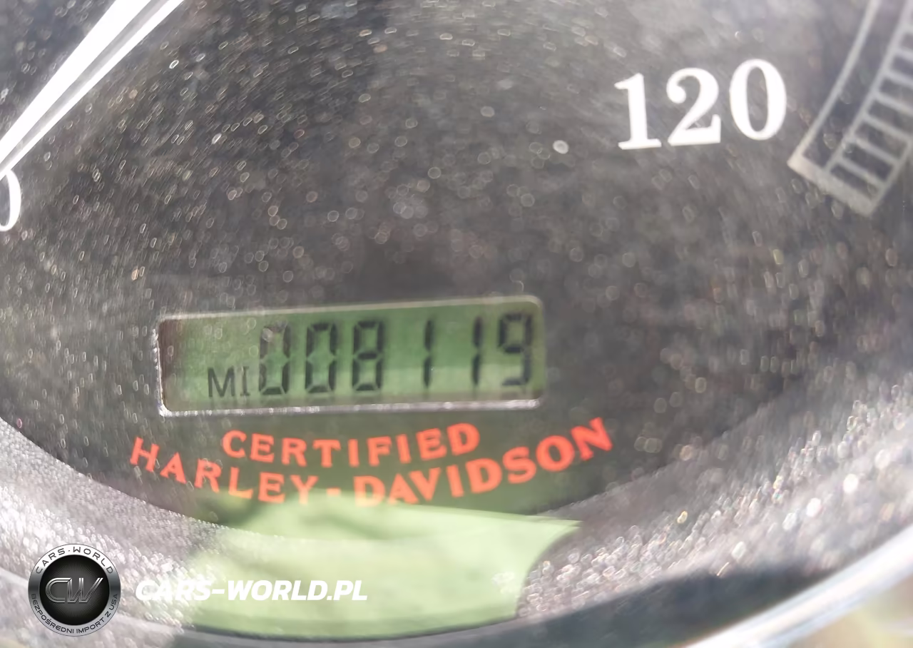 2004 Harley-Davidson Fxdwgi VIN:1HD1GPW104K306889 - 7