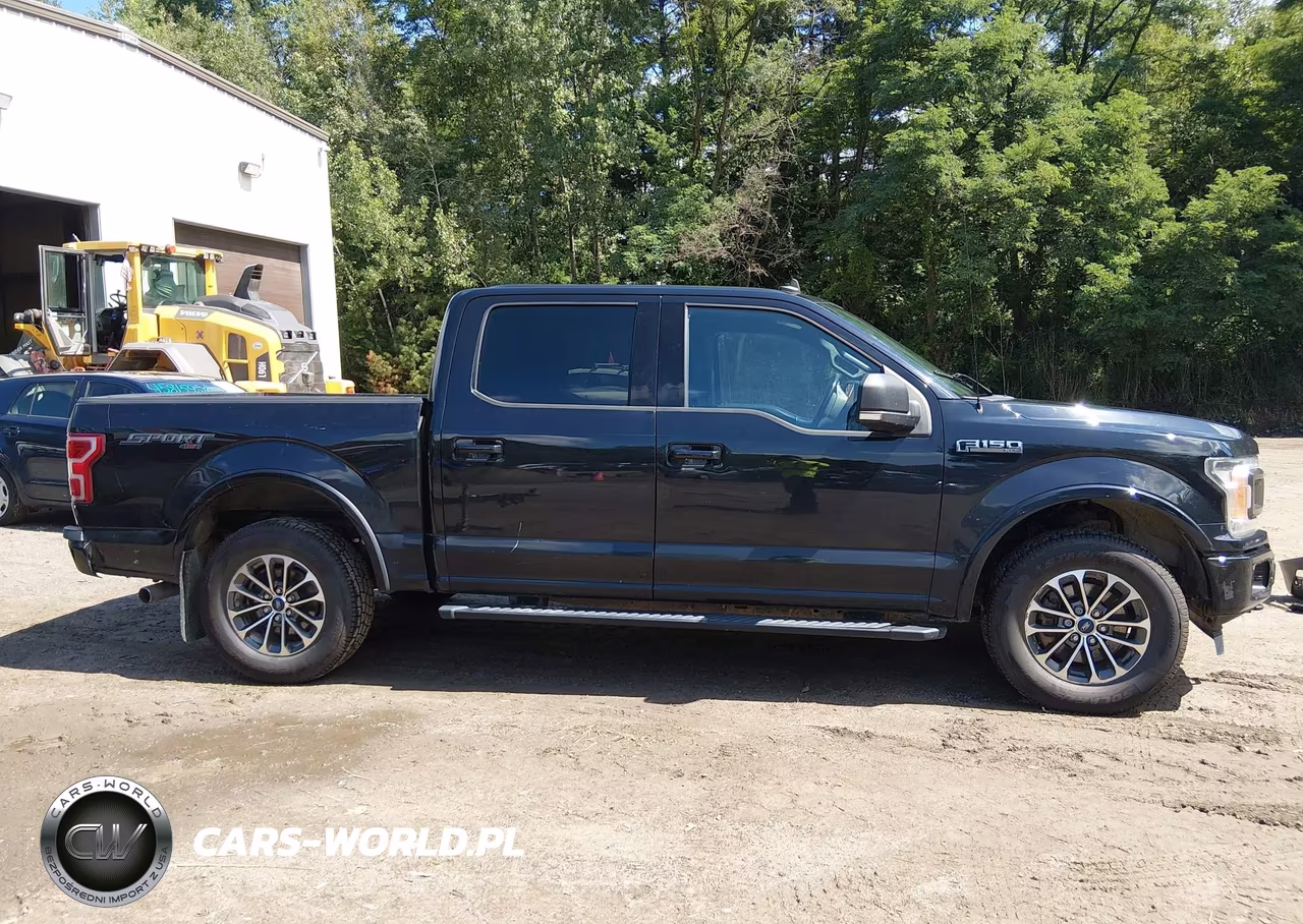 2019 Ford F-150 Xlt VIN:1FTEW1EP7KFD47843 - 13