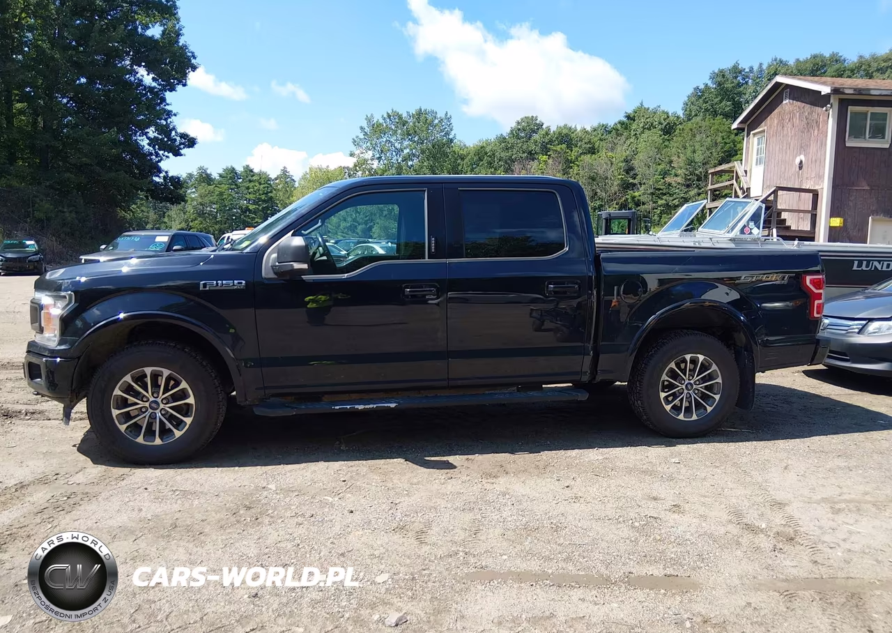 2019 Ford F-150 Xlt VIN:1FTEW1EP7KFD47843 - 14