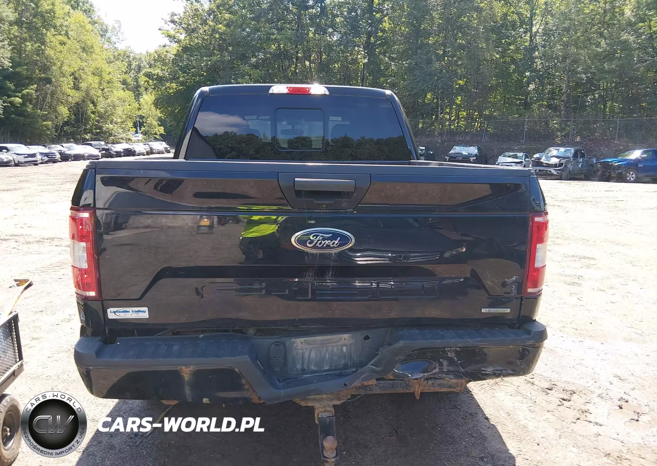 2019 Ford F-150 Xlt VIN:1FTEW1EP7KFD47843 - 16