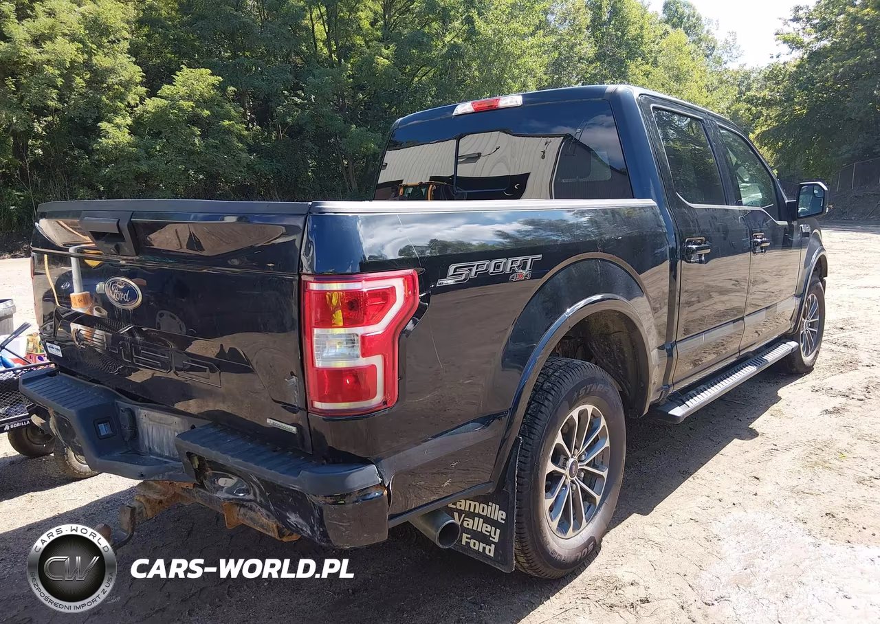 2019 Ford F-150 Xlt VIN:1FTEW1EP7KFD47843 - 4