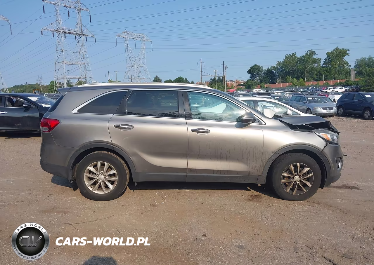 2017 Kia Sorento 2.4L Lx VIN:5XYPG4A38HG250375 - 13