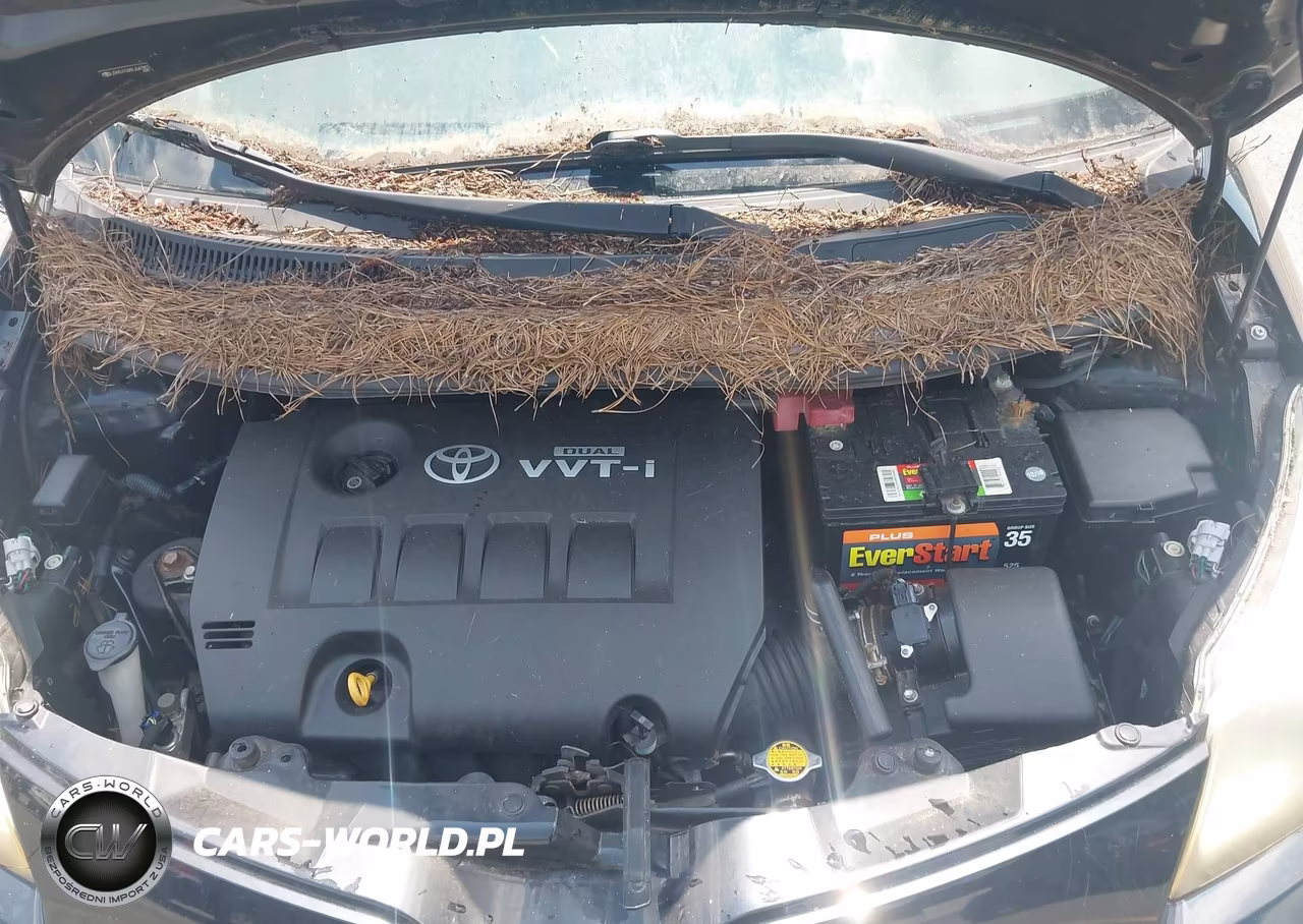 2009 Scion Xd VIN:JTKKU10489J047802 - 10