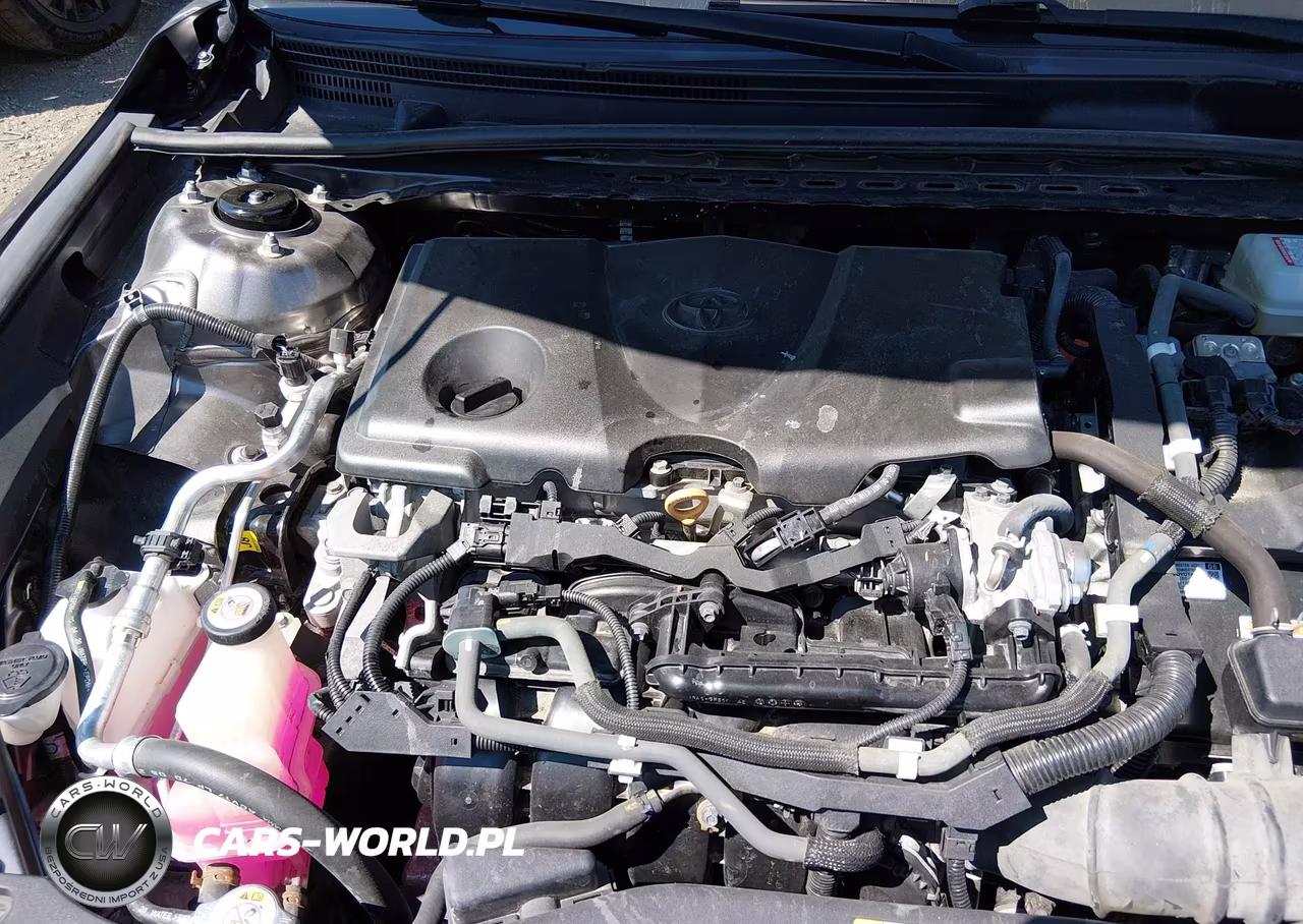 2021 Toyota Camry Se Hybrid VIN:4T1G31AK3MU550055 - 10