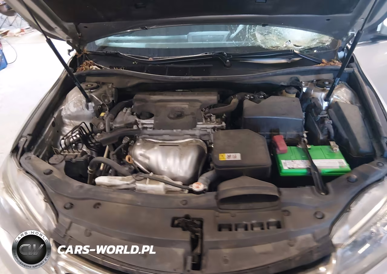 2017 Toyota Camry Se VIN:4T1BF1FK4HU383334 - 10