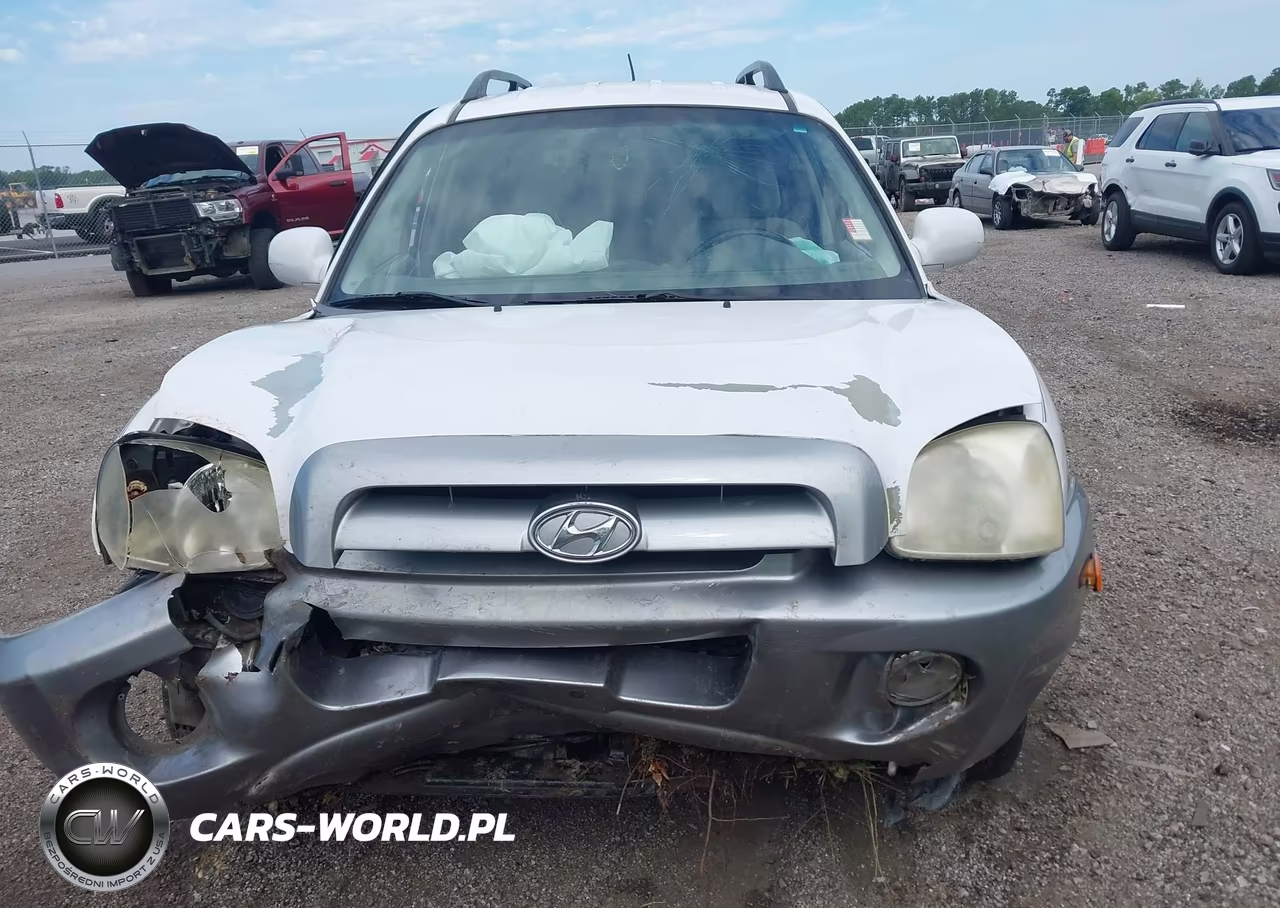 2006 Hyundai Santa Fe Gls VIN:KM8SC73D46U049514 - 13