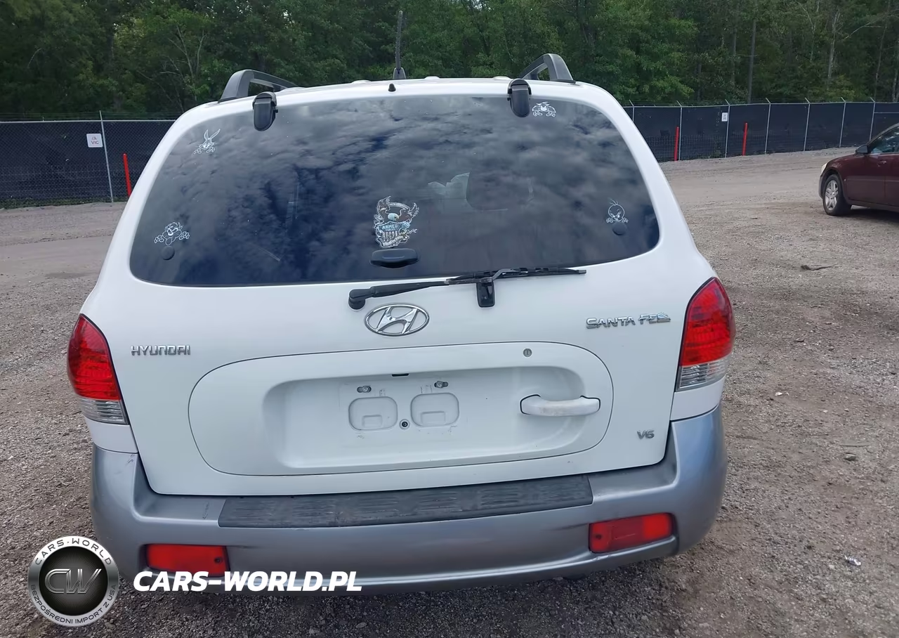 2006 Hyundai Santa Fe Gls VIN:KM8SC73D46U049514 - 17