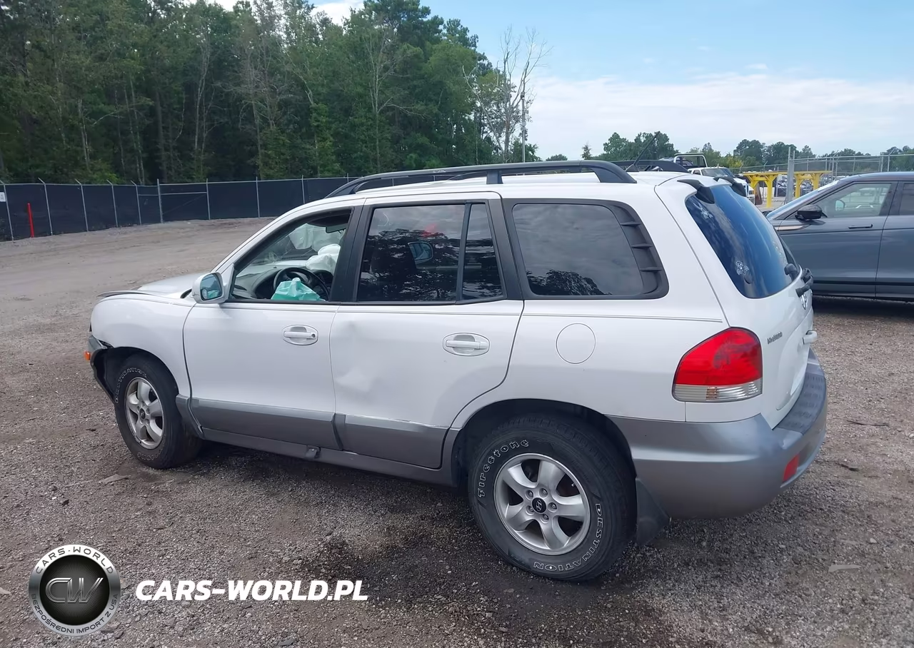2006 Hyundai Santa Fe Gls VIN:KM8SC73D46U049514 - 3