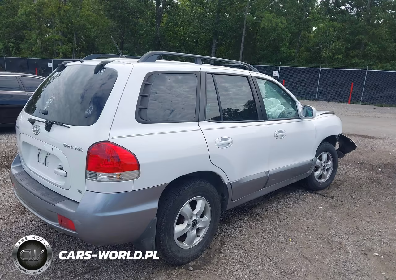 2006 Hyundai Santa Fe Gls VIN:KM8SC73D46U049514 - 4