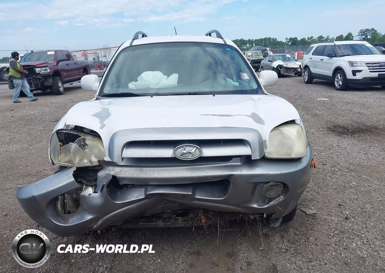 2006 Hyundai Santa Fe Gls VIN:KM8SC73D46U049514 - 6