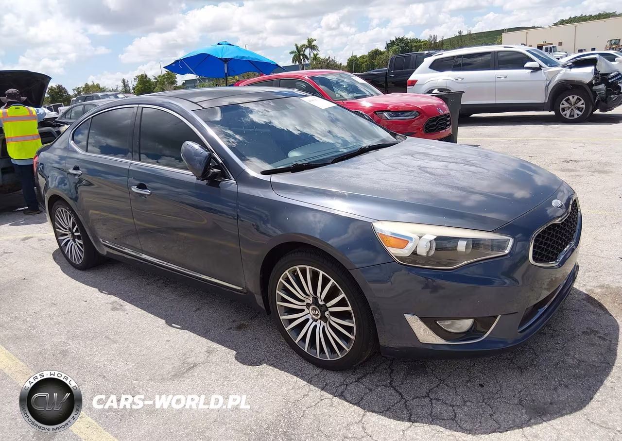 2014 Kia Cadenza Premium VIN:KNALN4D73E5135445 - 12