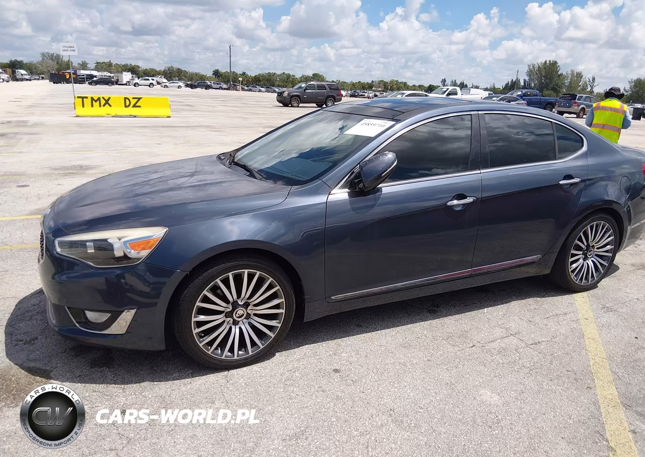 2014 Kia Cadenza Premium VIN:KNALN4D73E5135445 - 13